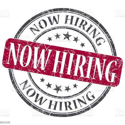 Now Hiring: Carpenter / Designer